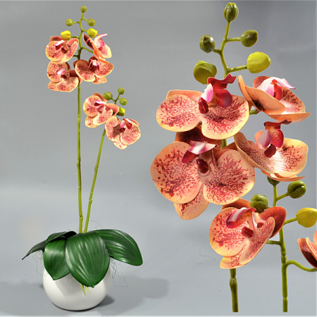 Ветка орхидеи 60см силикон цветная -67-10-9 (1шт)
