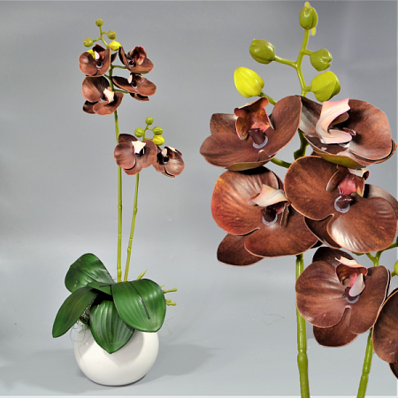 Ветка орхидеи 60см силикон цветная -67-10-8 (1шт)