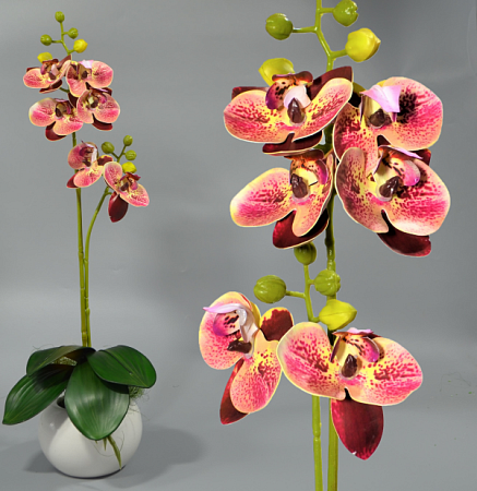 Ветка орхидеи 60см силикон цветная -67-10-16 (1шт)