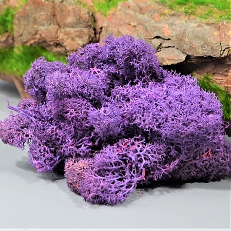 Мох стабилизированный натуральный 550гр фиолетовый (71-49)
