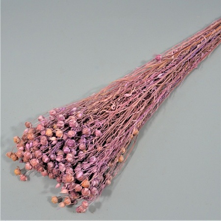 Букет льна натурального 74см фиолетовый (71-75)