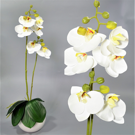 Ветка орхидеи 60см силикон цветная -67-10-4 (1шт)