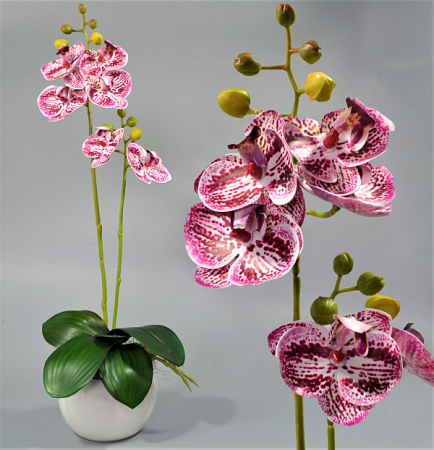 Ветка орхидеи 45см силикон цветная -67-10-11 (1шт)