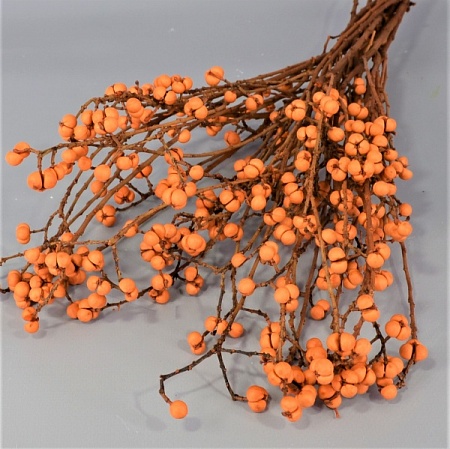 Букет крестовника натурального 50см оранжевый (71-66)