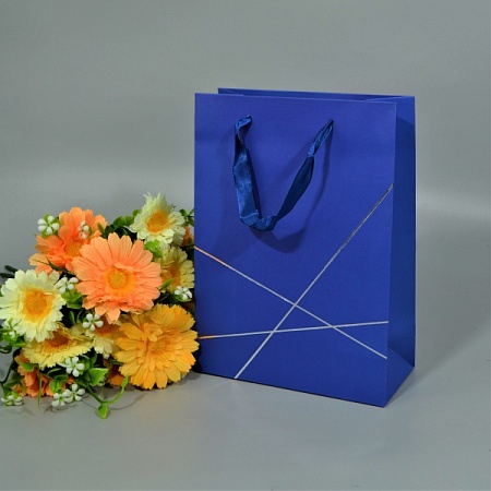 Пакет подарочный 18х10х23см картон синий "Геометрия" (1шт)