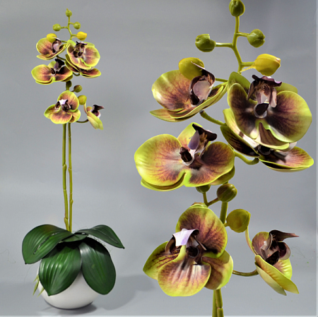 Ветка орхидеи 60см силикон цветная -67-10-14 (1шт)