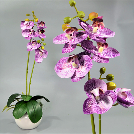Ветка орхидеи 60см силикон цветная -67-10-5 (1шт)