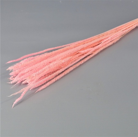 Букет Алопекуруса натурального 75см розовый (71-71)