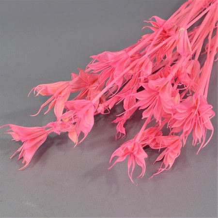 Букет нигеллы натурального h68см ярко-розовый (71-69)