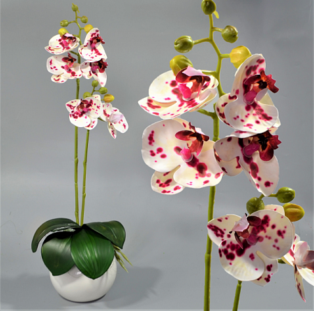 Ветка орхидеи 60см силикон цветная -67-10-13 (1шт)