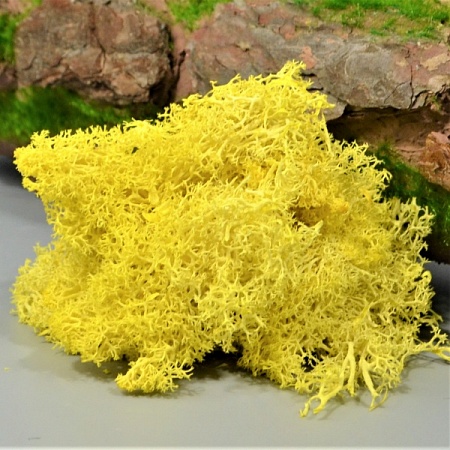 Мох стабилизированный натуральный 550гр жёлтый (71-49)