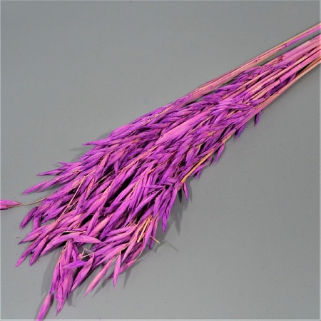 Букет Пшеницы натуральной 66см светло-фиолетовый (71-39)