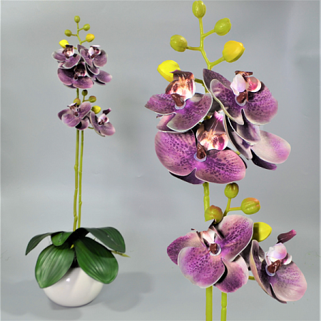 Ветка орхидеи 60см силикон цветная -67-10-3 (1шт)