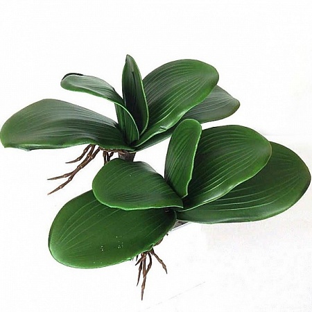 Листья орхидеи 33см пластик (19-150)