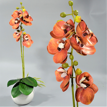 Ветка орхидеи 60см силикон цветная -67-10-17 (1шт)
