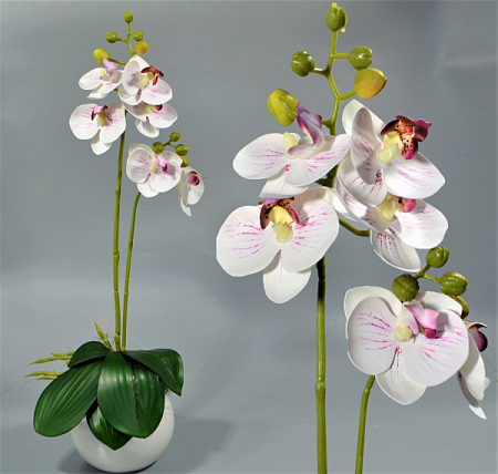 Ветка орхидеи 45см силикон цветная -67-10-2 (1шт)