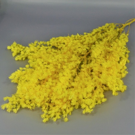 Букет аспарагуса натурального h70см жёлтый (71-73)
