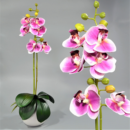 Ветка орхидеи 60см силикон цветная -67-10-10 (1шт)