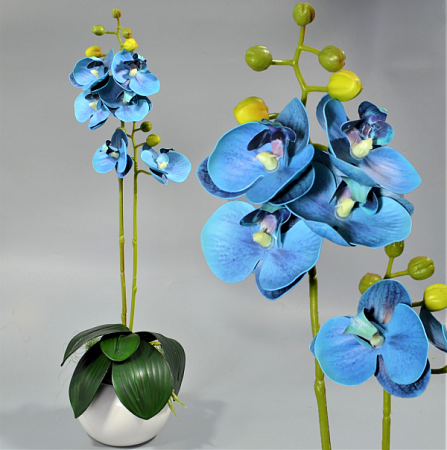 Ветка орхидеи 60см силикон цветная -67-10-12 (1шт)