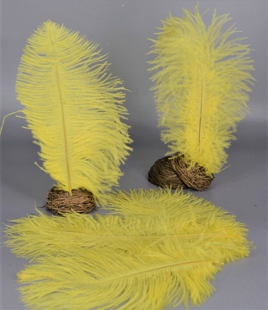 Перья страуса натуральные 30*10см жёлтые (5шт)