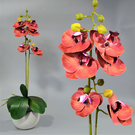 Ветка орхидеи 45см силикон цветная -67-10-6 (1шт)