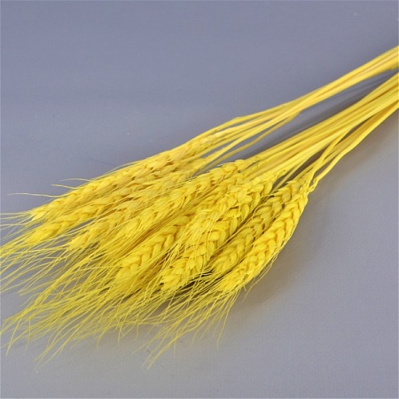 Букет Пшеницы натуральной 66см жёлтый (71-39)